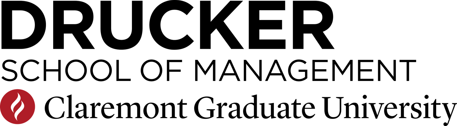 CGU-DSM-ID-A-RGB-Pos